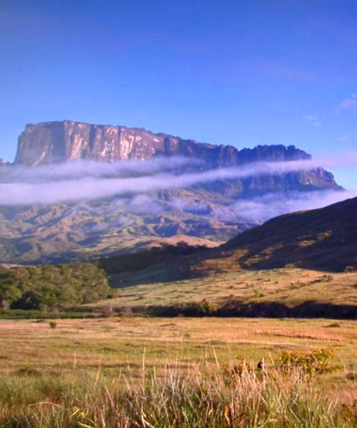 Venezuela Technical Symposium 2026: Professional Nonmembers